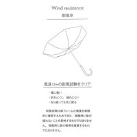 レディース 晴雨兼用 ストライププリントミニ傘 オフホワイト studio CLIP