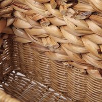 ヒヤシンスポリプロピレン収納M HOUSEHOLD GOODS ナチュラル studio CLIP