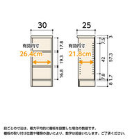 大洋 Shelfit エースラック 幅300×奥行250×高さ700mm スタンダードナチュラル AR7030SR(NA) 1台（直送品）