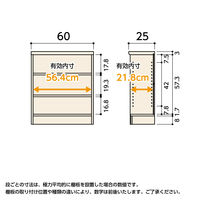大洋 Shelfit エースラック 幅600×奥行250×高さ700mm スタンダードナチュラル AR7060SR(NA) 1台（直送品）