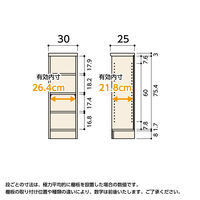 大洋 Shelfit エースラック 幅300×奥行250×高さ881mm スタンダードナチュラル AR9030SR(NA) 1台（直送品）
