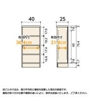 大洋 Shelfit エースラック 幅400×奥行250×高さ881mm スタンダードナチュラル AR9040SR(NA) 1台（直送品）