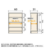 大洋 Shelfit エースラックタフ 幅600×奥行310×高さ881mm スタンダードナチュラル ARタフ9060R(NA) 1台（直送品）