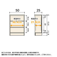 大洋 Shelfit カラーラック 幅500×奥行250×高さ700mm ライトナチュラル NC7050SR(LN) 1台（直送品）
