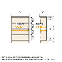 大洋 Shelfit カラーラック 幅600×奥行250×高さ881mm ライトナチュラル NC9060SR(LN) 1台（直送品）