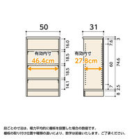 大洋 Shelfit カラーラックタフ 幅500×奥行310×高さ881mm ベーシックブラウン NCタフ9050R(BR) 1台（直送品）
