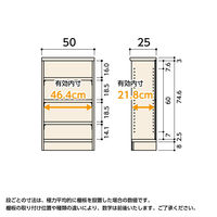 大洋 Shelfit カラーラックタフ 幅500×奥行250×高さ881mm ベーシックブラウン NCタフ9050SR(BR) 1台（直送品）