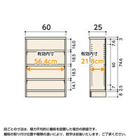 大洋 Shelfit カラーラックタフ 幅600×奥行250×高さ881mm ベーシックブラウン NCタフ9060SR(BR) 1台（直送品）