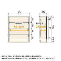大洋 Shelfit カラーラックタフ 幅700×奥行250×高さ881mm ダークブラウン NCタフ9070SR(DB) 1台（直送品）