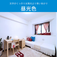 オーム電機 LED電球 E26 40形相当 昼光色 2個入 LDA4DGAG592P 1セット(2個)