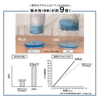 NEWバスタオルやめませんか アイボリー ZGYW-416IV09 1枚 小杉善