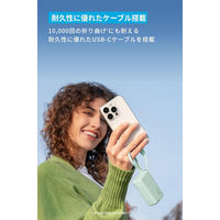 アンカー・ジャパン株式会社 Anker Power Bank (BuiltーIn USBーC ケーブル) A1636N53 1個
