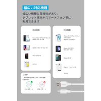 アンカー・ジャパン株式会社 Anker USBーC & USBーA ケーブル (Flow) 0.9m A85G1N21 1本