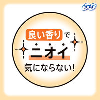 ナプキン 生理用品 ソフィ センターインコンパクト 1/2 金木犀の香り 特に多い昼用 羽つき 24.5cm 1セット (16枚×3パック)