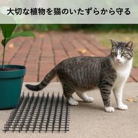 ユメミグサ ジョイントできる猫よけマット　8枚入り　M ANー3ー2 1セット（8枚入）