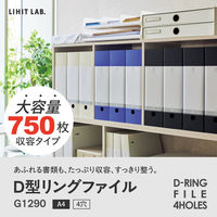 リヒトラブ リクエスト D型リングファイル 4穴 A4 青 コピー用紙750枚 G1290-8 1冊