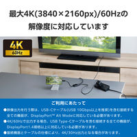 USB-C変換アダプタ 100W PD急速充電 4K映像 (C to C×2) 黒 MPA-C2CPD100BK エレコム 1個（直送品）