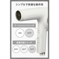 ハンドドライヤー シロッコタイプ(ハンドドライヤー) プロテクトイオン ホワイトアッシュ NIB400A-W/E テスコム 1個（直送品）