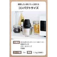 回転器具 フードプロセッサー ステンレスボトル ブラック TFP25A-K テスコム 1個（直送品）