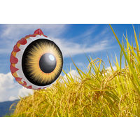 【並行輸入品】【鳥よけ】 高芝ギムネ製作所 鳥追い目玉パニック 幅40×高さ40cm Kー905 1個