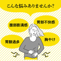 大正漢方胃腸薬 〈微粒〉 20包 大正製薬 胃のもたれ 胃部不快感 胃炎 胃痛【第2類医薬品】