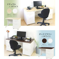 ネットフォース ナッツ 片袖机 2段袖 鍵付 幅1200×奥行700mm LKD-127-AW-WH-NG-2 1台（直送品）