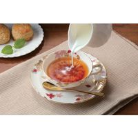 山田養蜂場 HONEY LOVE はちみつ紅茶 1箱（9バッグ入） 個別包装