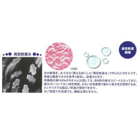 成願 ミニバスタオル KAWAC カピバラの毛のように早く乾くタオル 約 45×110cm ブルー 476691 1個（直送品）