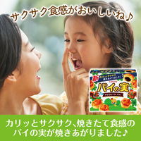 チョコレート菓子 パイの実　73g 1セット（1個×6）