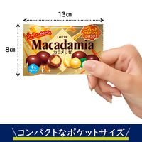 チョコレート菓子 マカダミアチョコレート　ポップジョイ　カラメリゼ　　34g 1セット（1個×12）