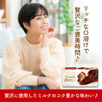 チョコレート菓子 プレミアムガーナ　濃厚生チョコレート　芳醇ミルク　12枚入 1セット（1個×6）