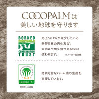 Cocopalm（ココパーム）ランドエッセンストリートメント 450mL サラヤ