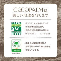 Cocopalm（ココパーム）ランドエッセンスシャンプー 450mL サラヤ