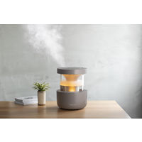 リズム MIST350 9YYA29RH84 1台