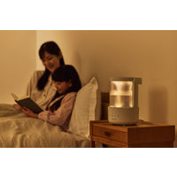 リズム MIST250 9YYA64RH08 1台