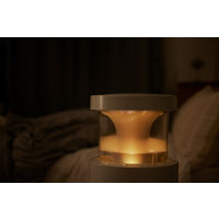 リズム MIST350 9YYA29RH08 1台