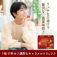 チョコレート菓子 プレミアムガーナ　トリュフ　キャラメルマリアージュ　49g 1セット（1個×3）