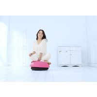 大東電機工業 <スライヴ>バランスボーイ ピンク a2502510 1個（直送品）