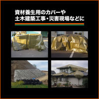 トラスコ中山 　エコＯＤグリーンシート　＃3000　7．2×7．2ｍ ODSー7272 1枚