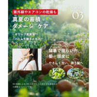 BOTANIST（ボタニスト） ボタニカルシャンプー モイスト フルーツトマト＆ローズマリーの香り 460ml I-ne　限定