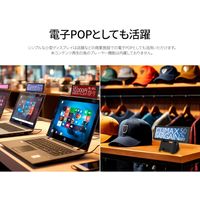 JAPANNEXT 7.8インチ 小型モバイルモニター JN-MD-IPS7842 1台