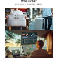 JAPANNEXT 23.8インチ デュアルモバイルディスプレイ JN-DMD-IPS238F-C4 1台