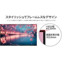 JAPANNEXT 27インチ ワイド液晶ディスプレイ JN-V27FHD 1台