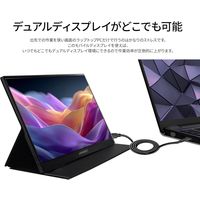 JAPANNEXT 13.5インチ モバイルディスプレイ JN-MD-IPS135FP 1台