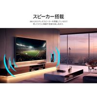 JAPANNEXT 43インチ ワイド液晶ディスプレイ(5年保証) JN-IPS43FHD2-U-H5 1台