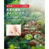 数量限定 BOTANIST（ボタニスト） ボディーソープ モイスト フルーツトマト＆ローズマリーの香り 490ml I-ne 液体タイプ