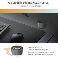 JAPANNEXT 湾曲LEDモニターライト JN-ML-R450R 1個
