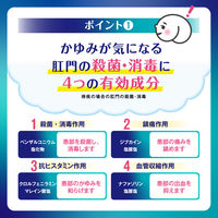 プリザ マイルド泡クリーン 80mL 大正製薬 痔疾の場合の肛門の殺菌・消毒 しみにくいノンアルコールタイプ【第2類医薬品】