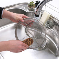 パームタワシ フィットタワシ 天然素材 トラ 1個 ワイズ