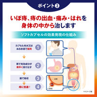 プリザ Gカプセル 24カプセル 大正製薬 いぼ痔 痔の出血・痛み・はれ【第2類医薬品】